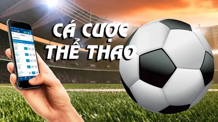 Khám Phá Thế Giới Thể Thao Mu88 Đỉnh Cao Và Đầy Sôi Động
